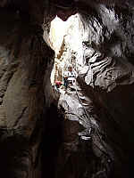 3bambou_IMGP0669.JPG 3bambou_IMGP0669.JPG