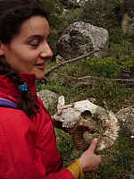 4kaviousou_IMGP0748.JPG 4kaviousou_IMGP0748.JPG