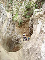 4kaviousou_IMGP0764.JPG 4kaviousou_IMGP0764.JPG