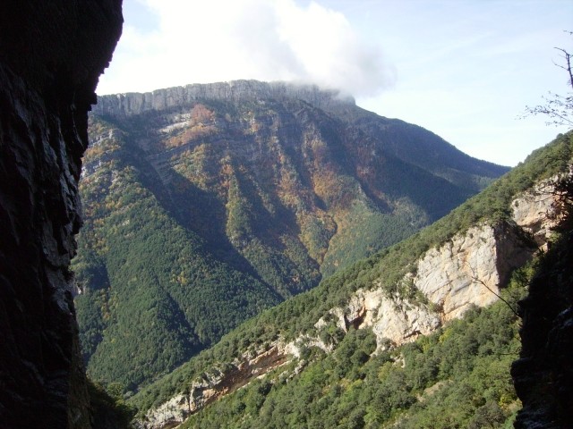IMGP3599.JPG