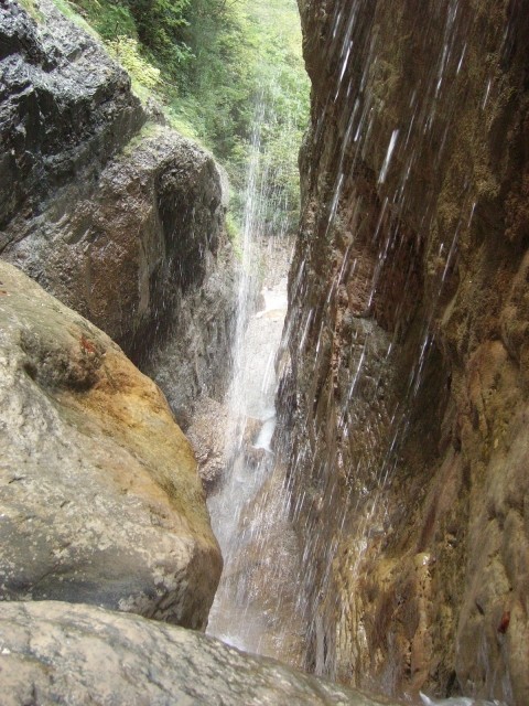 IMGP3644.JPG