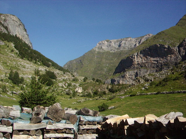 IMGP1638.JPG