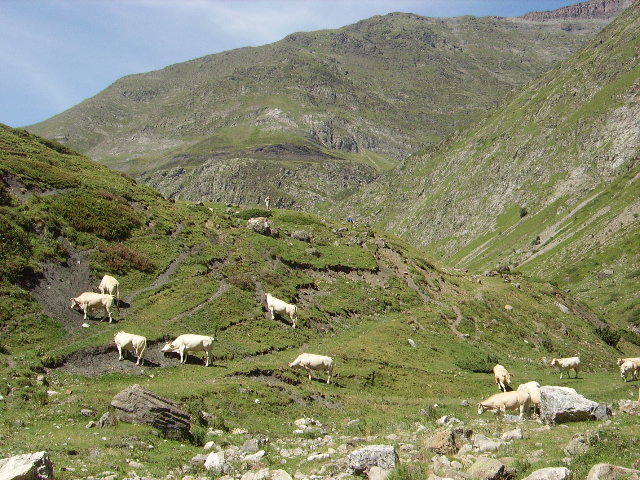 IMGP1797.JPG