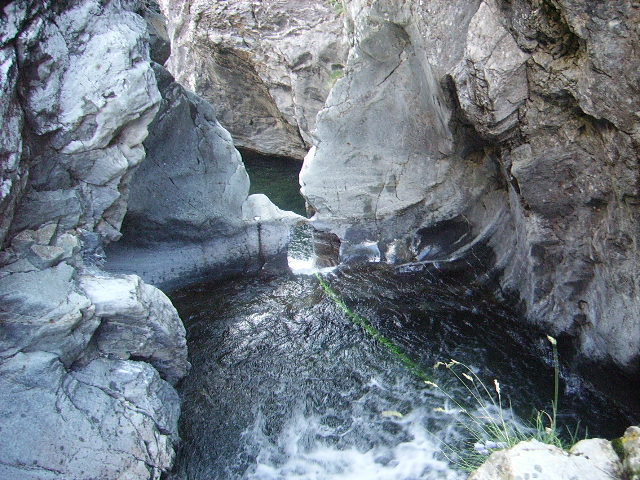 IMGP1826.JPG