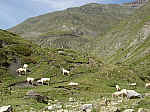 IMGP1797.JPG IMGP1797.JPG