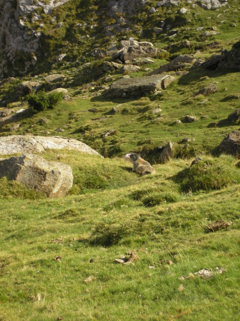 IMGP3037.JPG