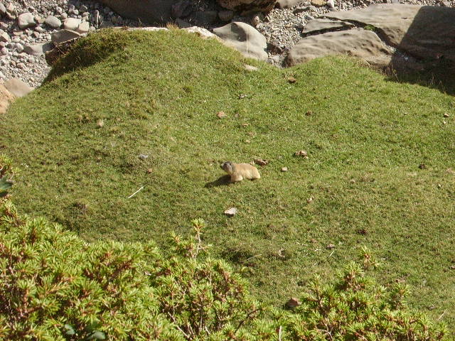 IMGP3038.JPG