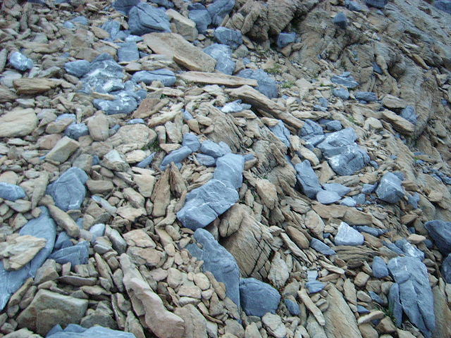 IMGP3097.JPG