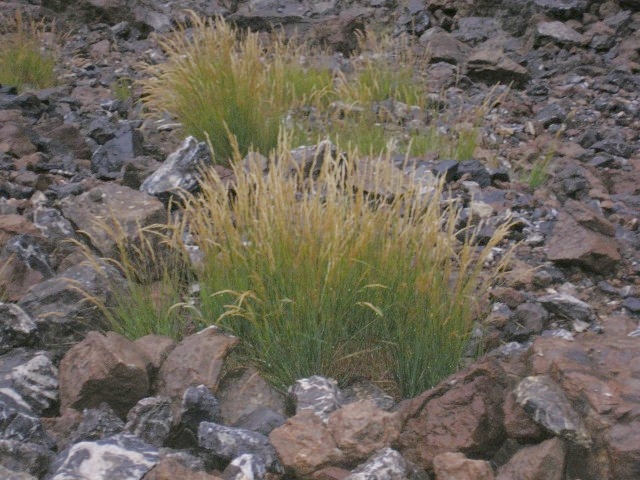 IMGP3225.JPG