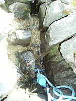 IMGP3203.JPG IMGP3203.JPG