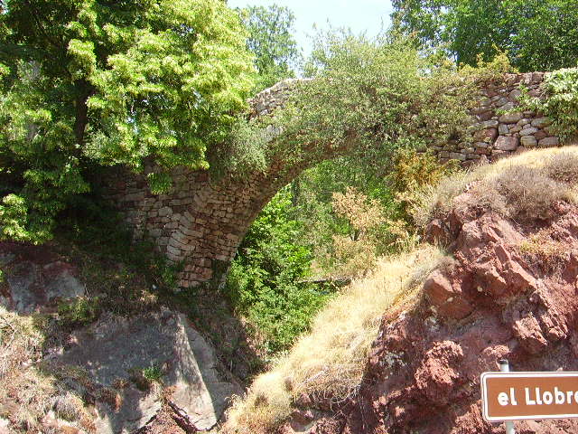 IMGP1097.JPG