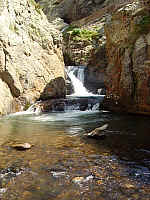 IMGP0984.JPG