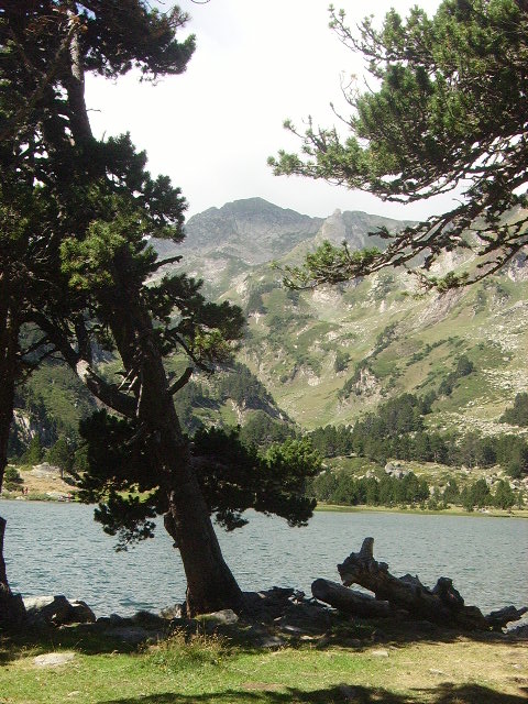 IMGP2089.JPG