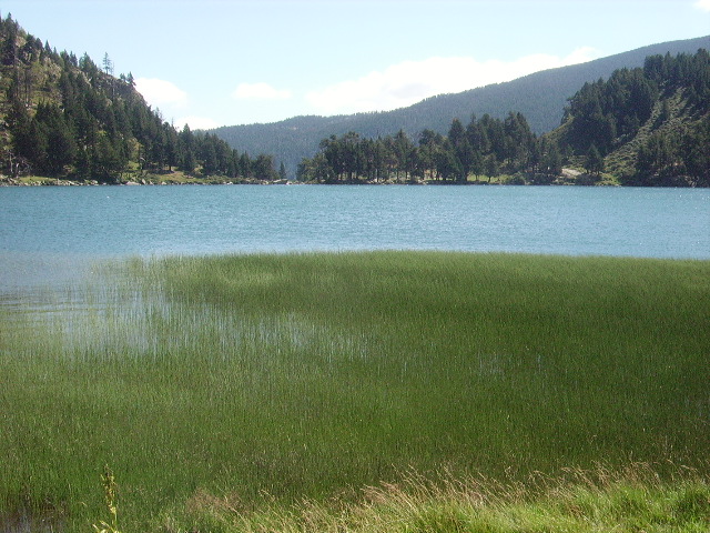 IMGP2105.JPG