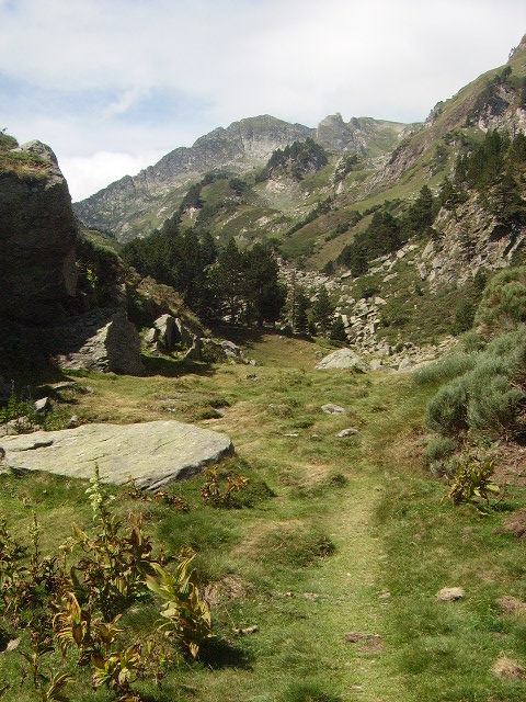 IMGP2106.JPG