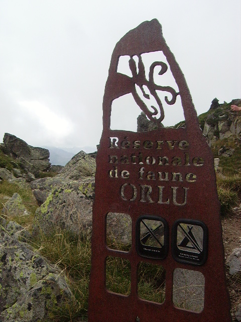 IMGP2131.JPG