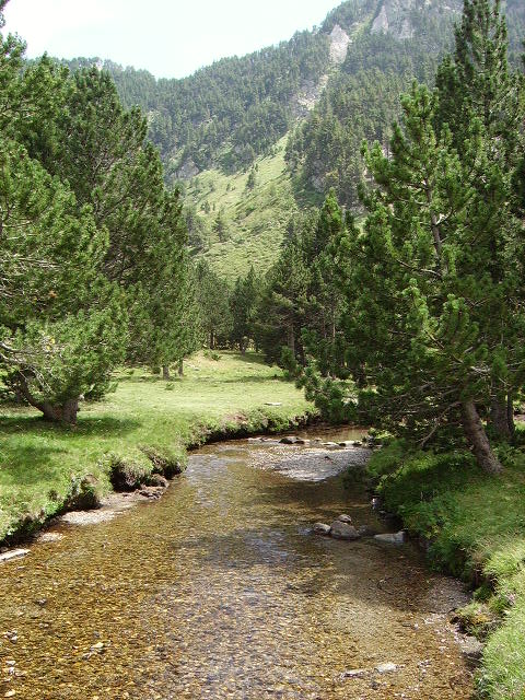 IMGP2174.JPG