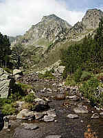 IMGP2086.JPG IMGP2086.JPG