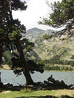 IMGP2089.JPG IMGP2089.JPG
