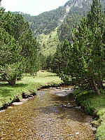 IMGP2174.JPG IMGP2174.JPG