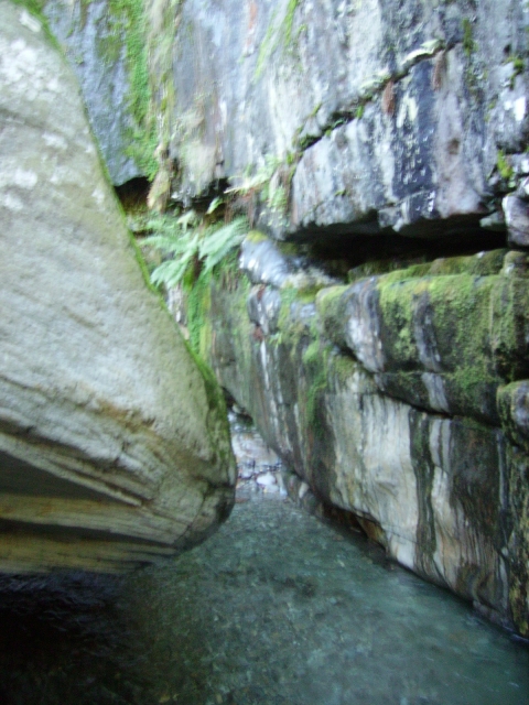 IMGP3458.JPG