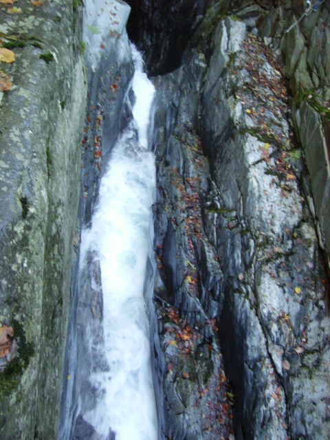IMGP3470.JPG