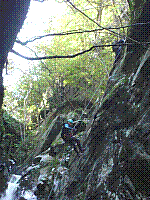 IMGP3480.JPG IMGP3480.JPG