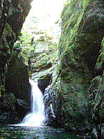 IMGP3523.JPG IMGP3523.JPG