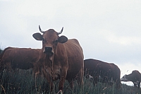 F1000007.JPG F1000007.JPG