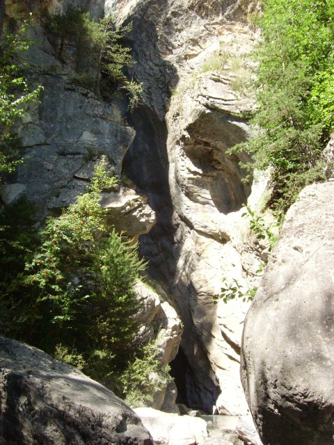 21fournel inf_IMGP2444.JPG
