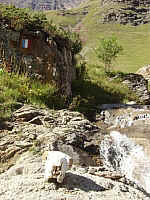 25fournel sup_IMGP2733.JPG 25fournel sup_IMGP2733.JPG