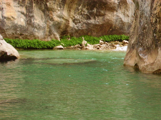 IMGP0803.JPG