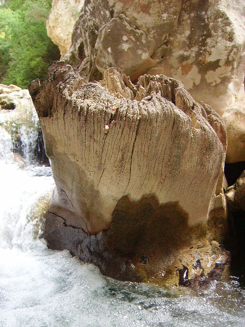 IMGP0859.JPG