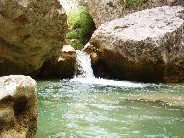 IMGP0865.JPG
