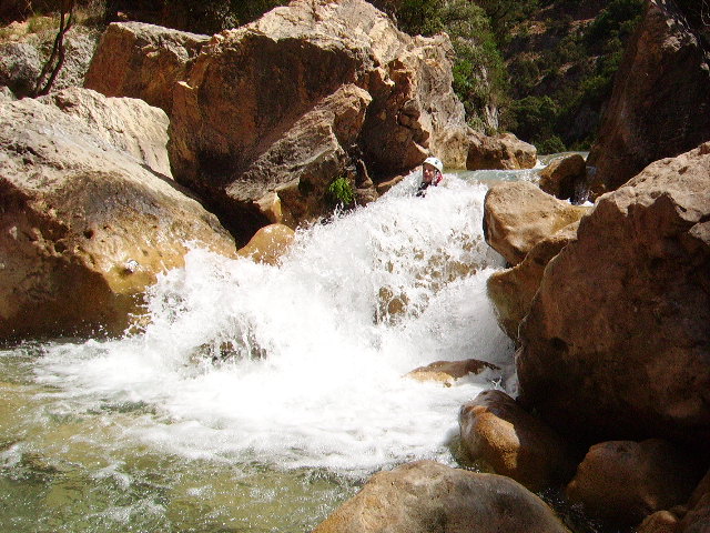 IMGP0906.JPG