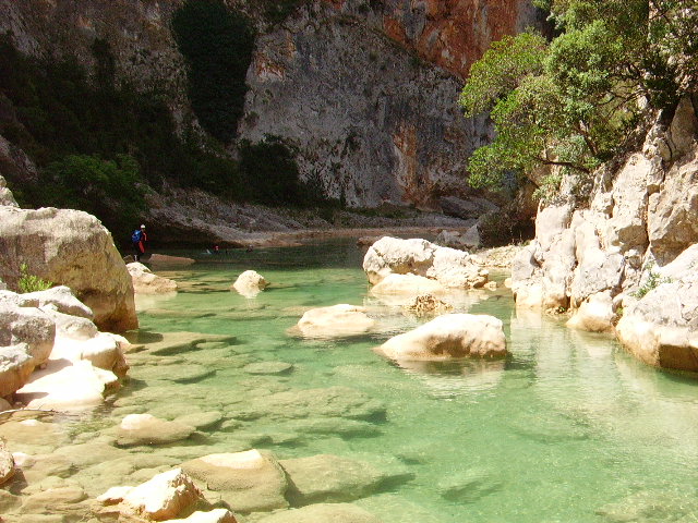 IMGP0913.JPG