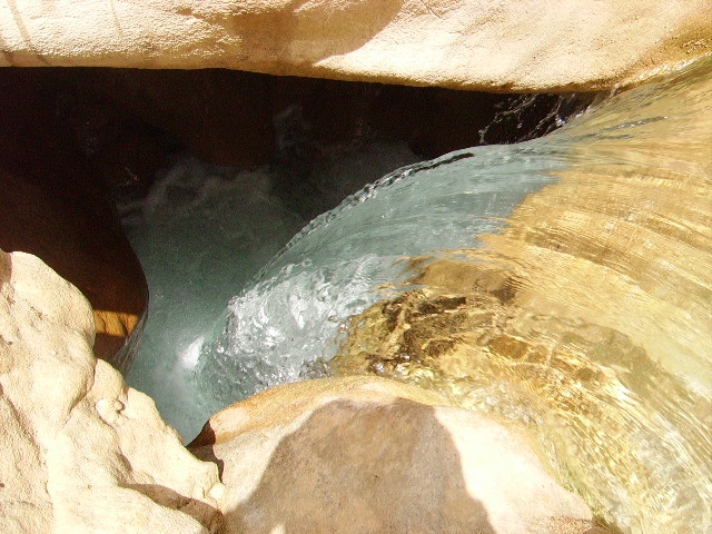 IMGP0924.JPG