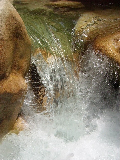 IMGP0931.JPG