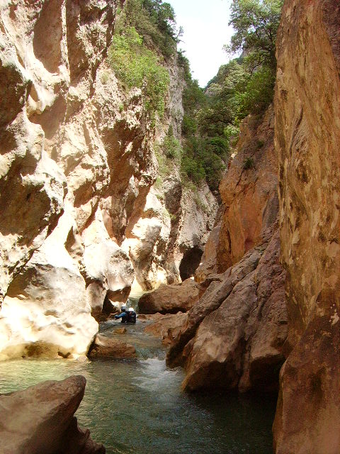IMGP0942.JPG
