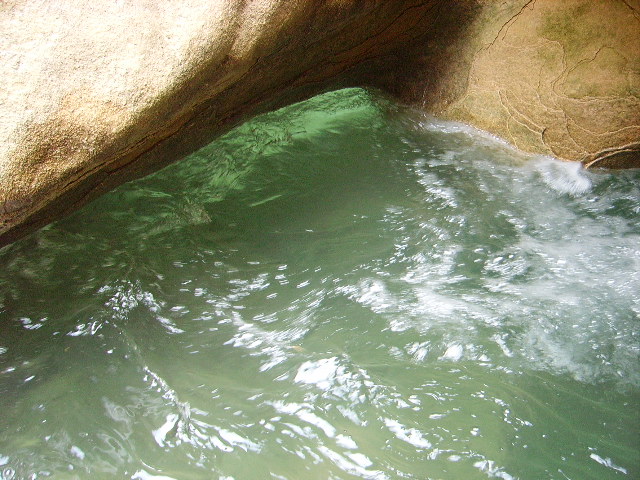 IMGP0959.JPG