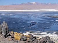 58659052_a0065cb22d_b.jpg 58659052_a0065cb22d_b.jpg