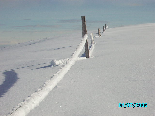 IMGP0099.JPG
