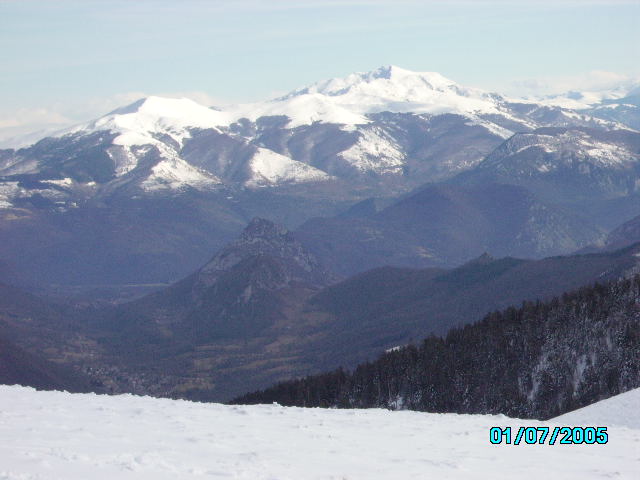 IMGP0115.JPG