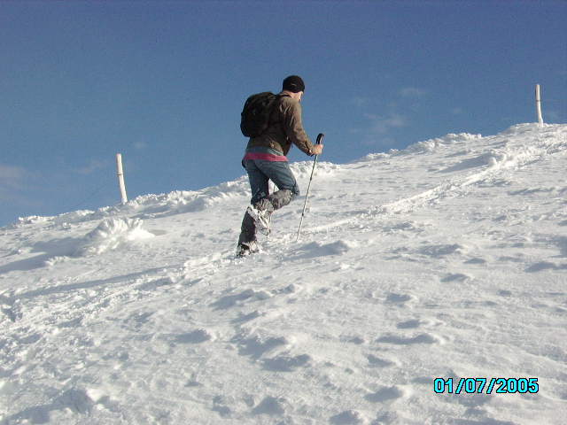 IMGP0128.JPG