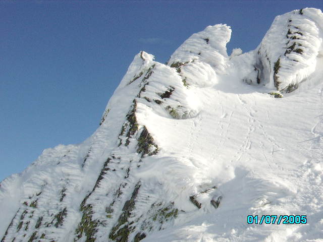IMGP0144.JPG