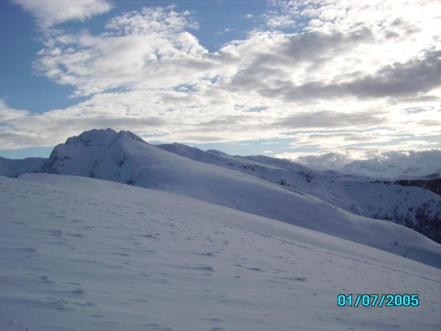IMGP0159.JPG