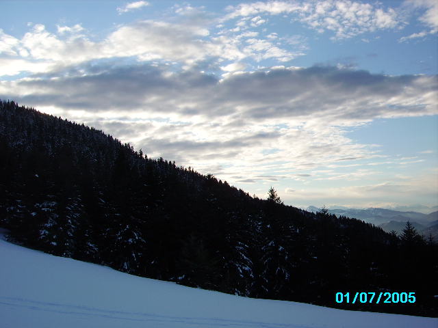 IMGP0167.JPG