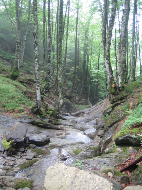 20060621_althagneta_IMG_2858.JPG