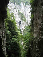 20060621_althagneta_IMG_2900.JPG