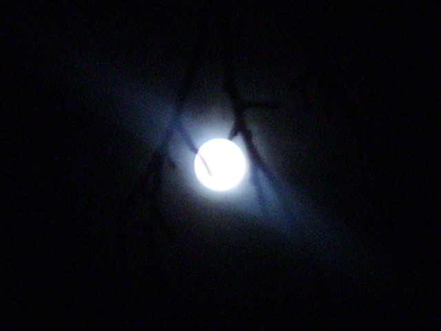 IMGP1200.JPG